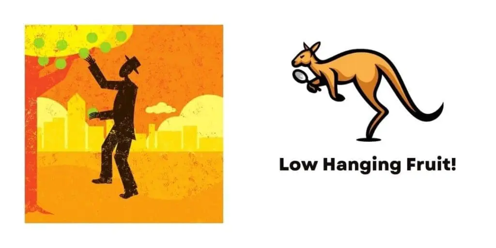 low hanging fruit banner