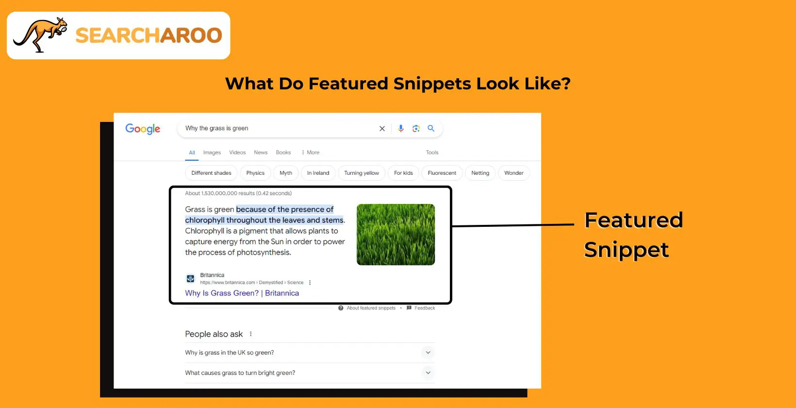 featured snippet example